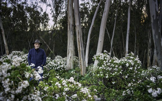 Richard Louv numa área natural. Ele defende que o contato com a natureza é essencial para a saúde (Foto: Divulgação/Josh Endres-Garden)